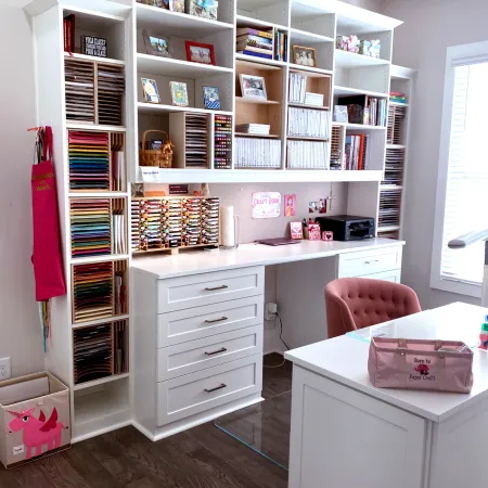 a room with shelves and a bookcase