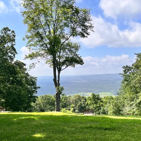Sunny park with green grass, tall trees, benches, and a distant view of hills under a blue sky with clouds.