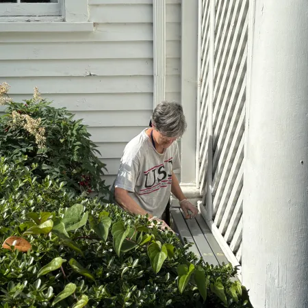 Person in a gray U.S.A. t-shirt pruning green bushes outside a white wooden house with a lattice fence.