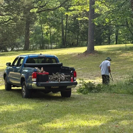 Man in hat unloading wood debris from pickup truck in a sunny grassy wooded area