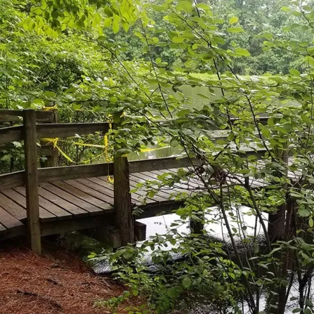 a wooden bridge over a river