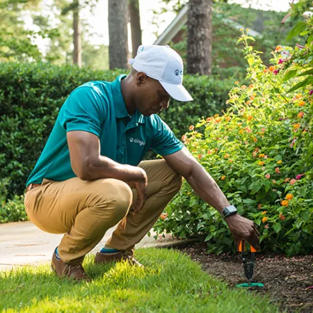 Gardener in teal shirt and white cap kneeling to plant or inspect greenery in a garden bed outdoors.