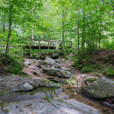 Nature trail at NatureWalk at Seven Hills in Dallas GA