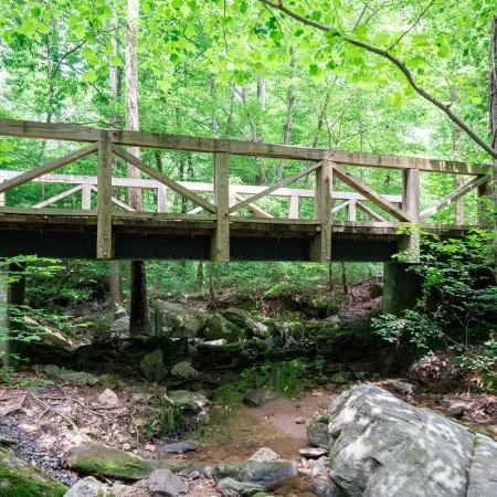 Nature trail at NatureWalk at Seven Hills in Dallas GA