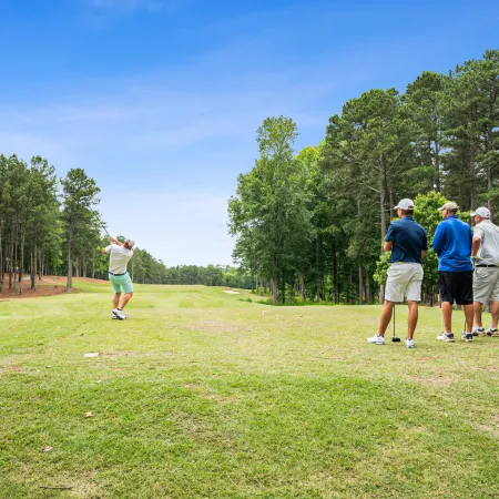 Four men playing golf on a sunny course surrounded by tall trees and clear blue sky.
