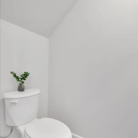 White toilet with a small green plant on tank against plain white walls and wood flooring in a minimalist bathroom.