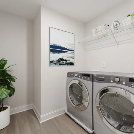 a room with a washing machine and a plant
