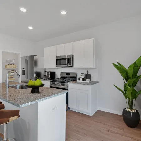 Modern kitchen with granite island, wooden bar stools, stainless steel appliances, and a large green plant in the corner