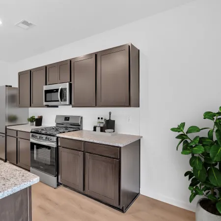 Modern kitchen with dark cabinets, stainless steel appliances, granite countertops, and a potted plant on wooden floor.