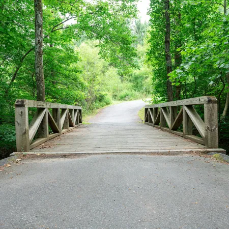 a wooden bridge over a road