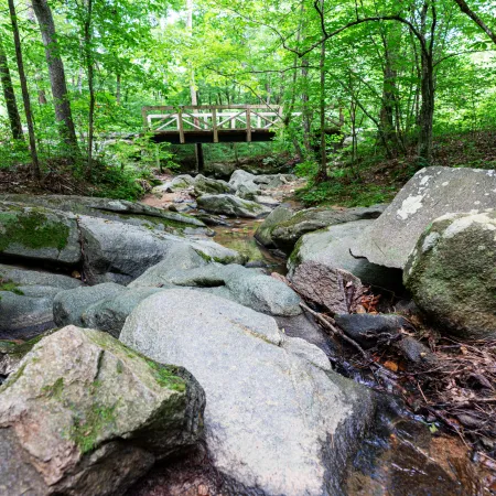 a rocky area with trees in the background