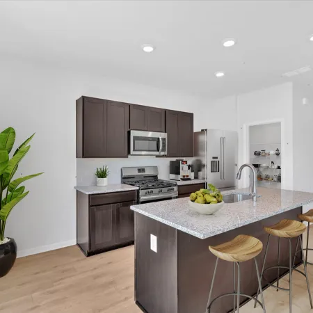Modern kitchen with dark cabinets, granite island, stainless steel appliances, wooden stools, and a large green plant.