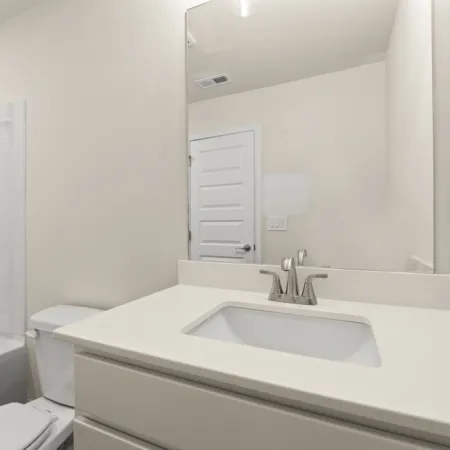 a bathroom with a sink and a toilet