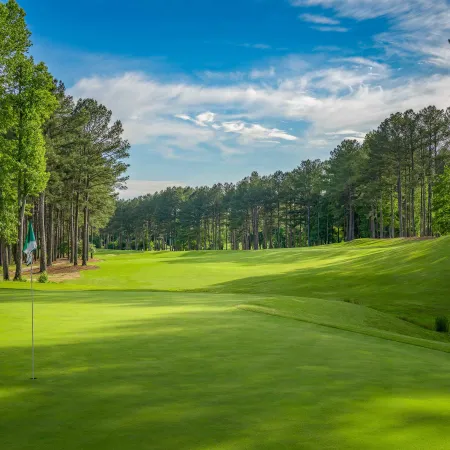 Golf course green with flagstick surrounded by tall pine trees under a partly cloudy blue sky.