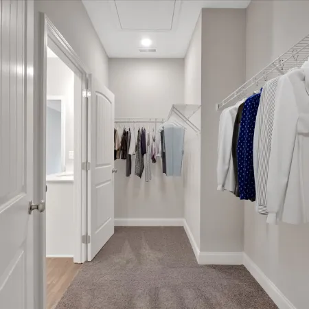 Modern walk-in closet with white walls, hanging clothes, carpeted floor, and a bright ceiling light