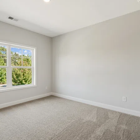 Empty bright room with beige carpet, large window showing green trees, and light gray walls.