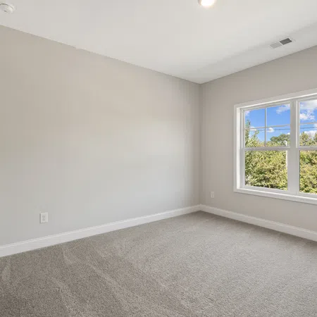 Empty room with beige carpet, light gray walls, white trim, and a large window showing green trees outside.