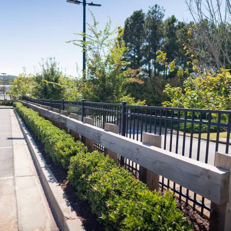 a fenced off area with trees and plants around it