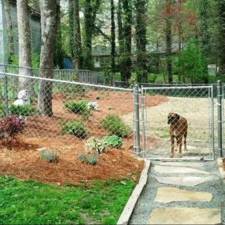 a giraffe in a fenced in area