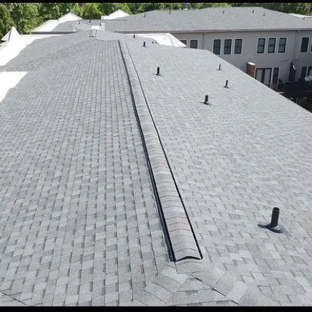 a roof with a group of birds on it