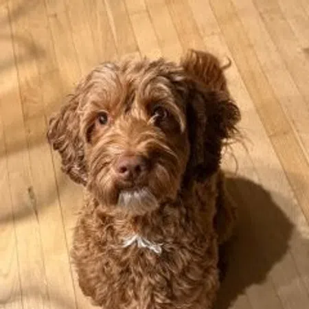 Charlie