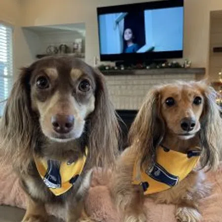 Bailee and Finn