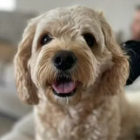 Nellie
