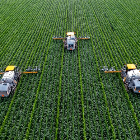 Three agricultural machines spraying crops in a large green cornfield from an aerial view under clear sky.