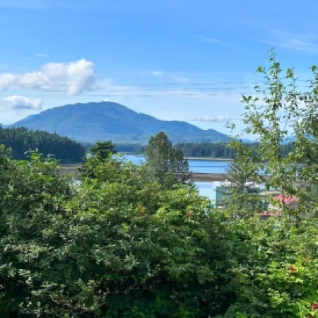 a body of water with trees around it and mountains in the background