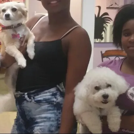 a group of women holding dogs