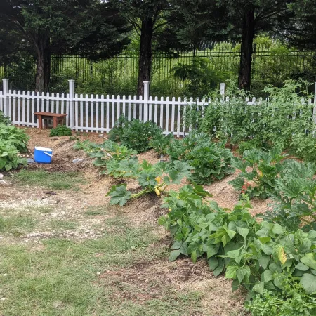 a garden with white picket fence