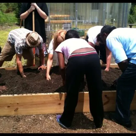 a group of people working on a garden