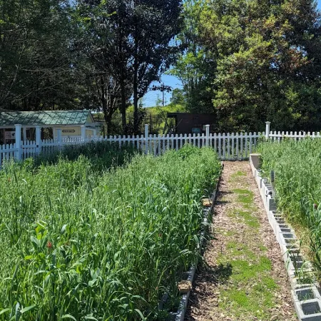 a garden with a white fence
