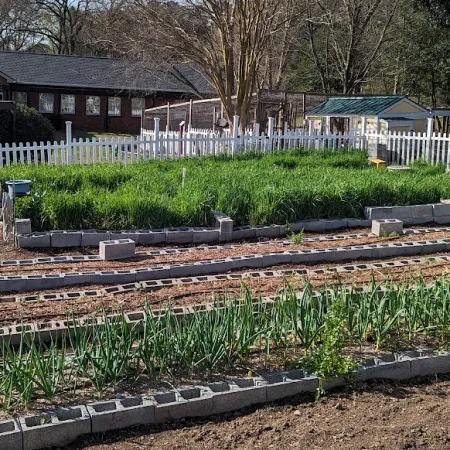 a garden with a white fence and a white picket fence