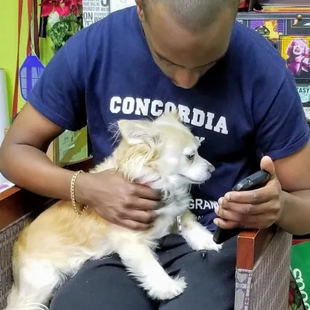 a person holding a dog