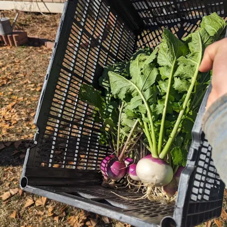 a hand holding a plant in a metal box with a plant in it