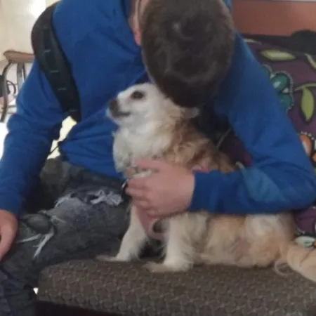 a woman holding a dog