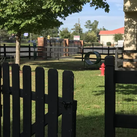 a black gate with a red fire hydrant and trees in the background
