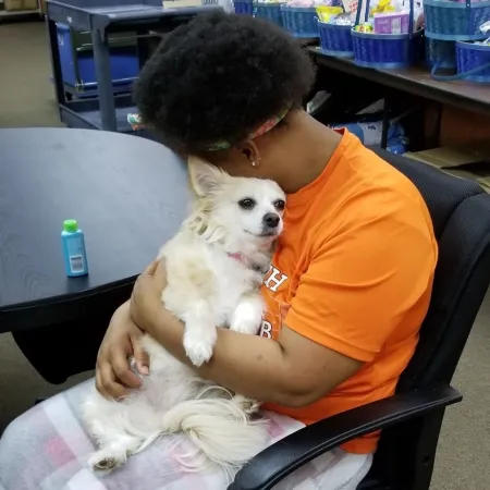 a person holding a dog