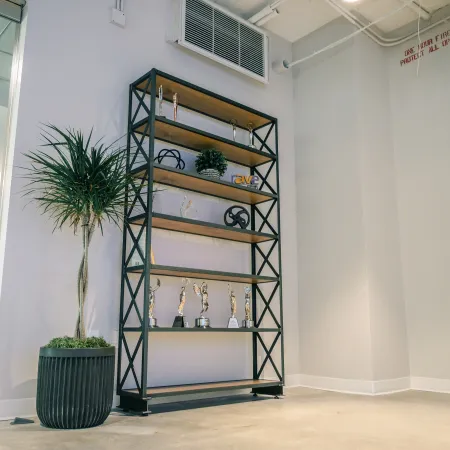 Modern industrial shelf with trophies and decor next to a tall potted plant in a bright office corner.