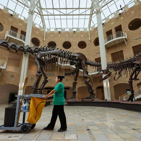 Museum worker pushes cleaning cart past large dinosaur skeletons inside a spacious natural history museum.