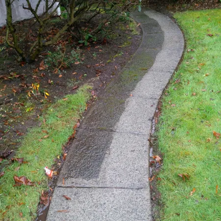 a sidewalk with grass and trees