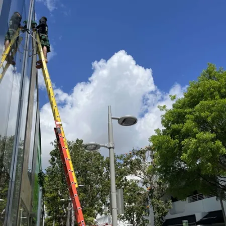 a group of men on a ladder