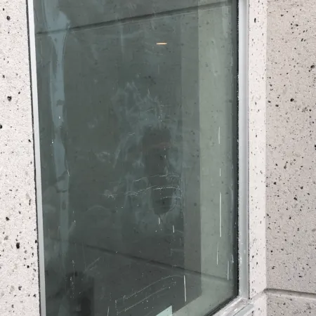 a window with a cat outside