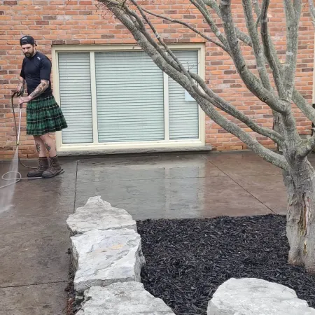 a person holding a tree