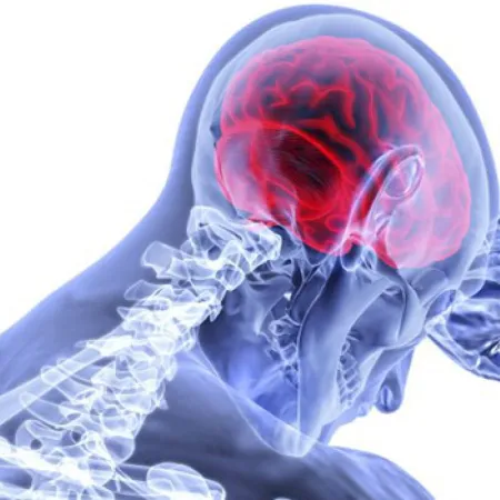 Transparent human skeleton with highlighted red brain inside the skull viewed from the side