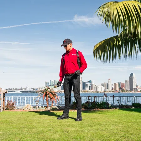 Technician in red jacket inspecting lawn with city skyline and waterfront in background under clear sky