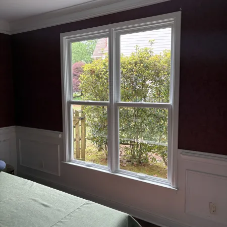 Sunlit room with green tablecloth near white-framed window showing dense greenery and wooden fence outside