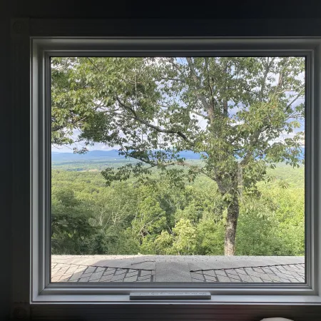 Scenic view of lush green trees and distant mountains framed by a large window with a stone ledge.