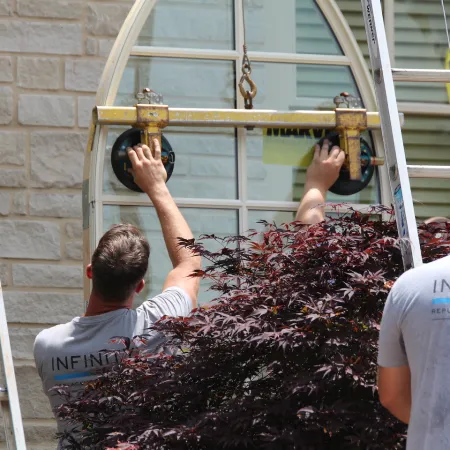 a group of men working on a tree